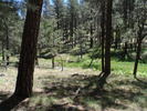 photo thumbnail #10
