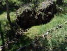 photo thumbnail #12