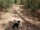 photo thumbnail #1