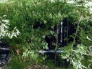 photo thumbnail #13