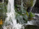 photo thumbnail #14