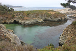 photo thumbnail #10