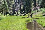 photo thumbnail #3