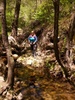 photo thumbnail #5