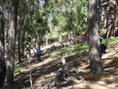 photo thumbnail #10