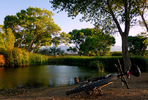 photo thumbnail #5