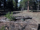 photo thumbnail #6