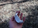 photo thumbnail #8