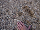 photo thumbnail #13