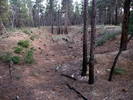 photo thumbnail #14