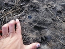 photo thumbnail #15