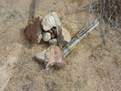 photo thumbnail #11