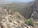 photo thumbnail #12