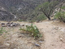 photo thumbnail #14