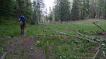 photo thumbnail #4
