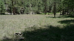 photo thumbnail #14
