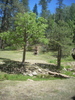 photo thumbnail #11