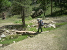photo thumbnail #12