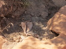 photo thumbnail #13