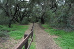 photo thumbnail #1
