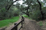 photo thumbnail #2
