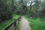 photo thumbnail #3