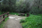 photo thumbnail #5
