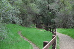photo thumbnail #7