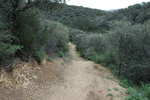 photo thumbnail #11