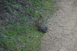 photo thumbnail #12