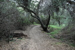 photo thumbnail #14