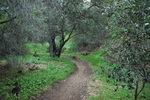 photo thumbnail #15
