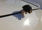 photo thumbnail #2