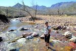 photo thumbnail #7