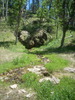photo thumbnail #13
