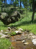 photo thumbnail #14