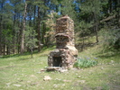 recent photo