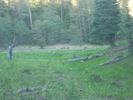recent photo