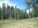 recent photo