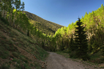 photo thumbnail #7