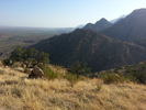photo thumbnail #1