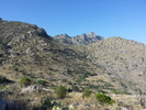 photo thumbnail #2