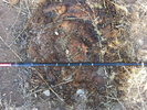 photo thumbnail #5