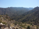 photo thumbnail #14