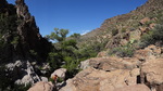 photo thumbnail #7