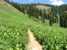 photo thumbnail #1