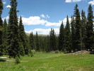 photo thumbnail #3