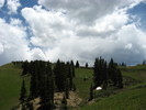 photo thumbnail #5