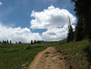 photo thumbnail #6