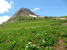 photo thumbnail #7